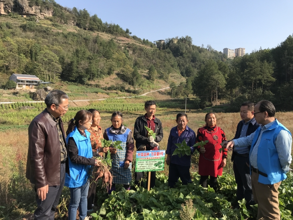 重庆市科协助力乡村振兴专家服务队在田间地头指导农户。市科协供图