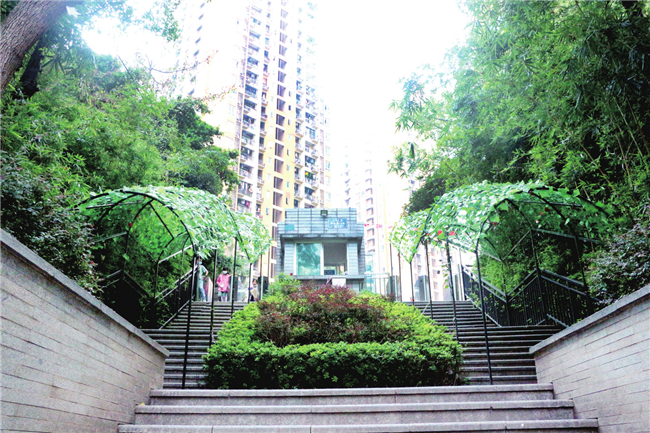 A green plant promenade was built at the gate of D1 area of Konggang Paradise. (Photographed by Wang Yanxue)