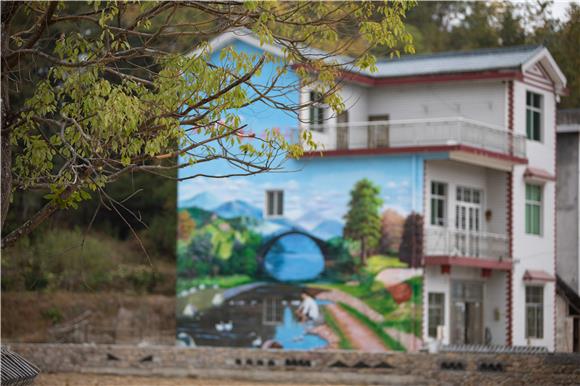 洪安镇贵措社区拍摄的新农村彩绘墙。通讯员 胡程 摄
