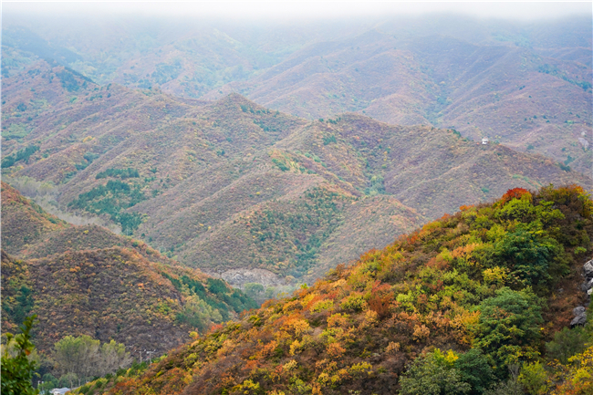 百花山国家级自然保护区秋景。新华社记者 彭子洋 摄