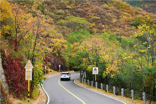 百花山国家级自然保护区秋景。新华社记者 彭子洋 摄