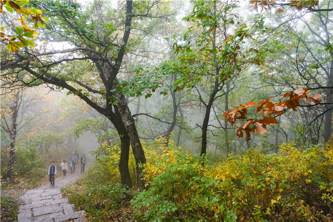 游客在百花山国家级自然保护区游玩。新华社记者 彭子洋 摄