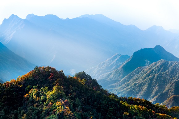 五彩斑斓的彩叶扮靓大山。周远志 摄