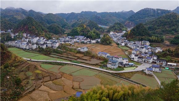 航拍的洪安镇三阳村翻新待播的油菜地。通讯员  胡程 摄