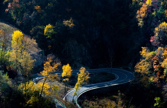 蜿蜒盘旋的公路形成别样的秋日美景。周远志 摄