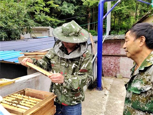 张魏林指导村民利用GN新式活框养殖土蜂。通讯员 李训兵 摄