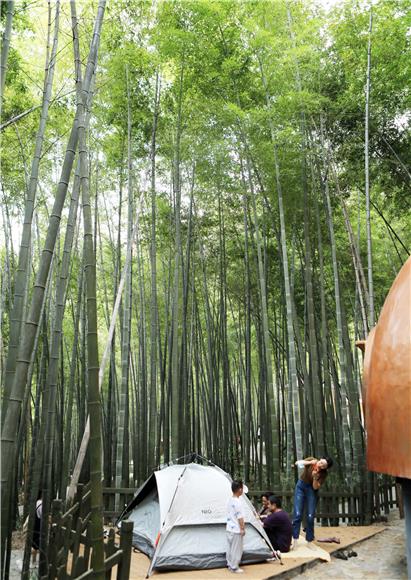 游客在茶山竹海安营扎寨。
