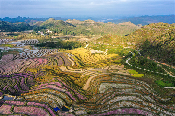 10月6日拍摄的贵州省贵阳市花溪区黔陶乡谷洒农业综合种植基地（无人机照片）。