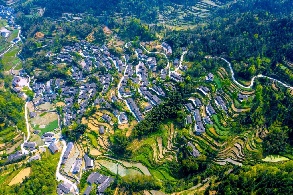 秀山县龙凤坝镇大寨村传统村落。市住房城乡建委供图