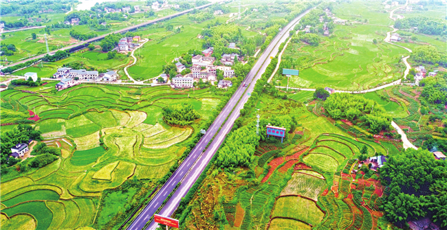 双桂街道黄泥村,美丽的田园风光.梁平日报记者 向成国 摄