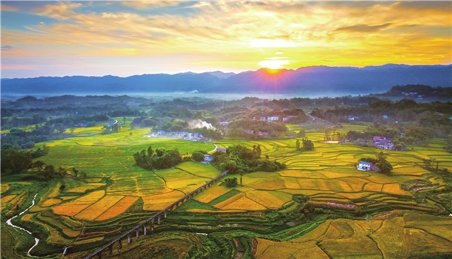 In Hongba Village, Mingda Town, bathed in the soft glow, golden rice fields and fields and ridges, houses, aqueducts interwoven together, like a dream. (Photographed by Xiang Chengguo) In Hongba Village, Mingda Town, bathed in the soft glow, golden rice fields and fields and ridges, houses, aqueducts interwoven together, like a dream. (Photographed by Xiang Chengguo)