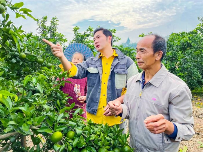 周呈印对农民柑橘种植进行技术指导。潼南区融媒体中心供图   华龙网发