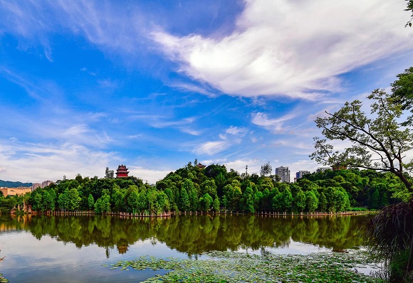 重庆秀湖国家湿地公园。璧山区委宣传部供图 华龙网发