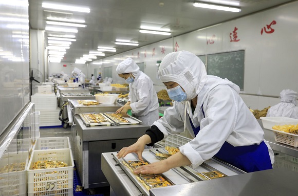 重庆奇爽食品有限公司预制菜生产线，工人在包装预制菜产品。通讯员  向成国 摄