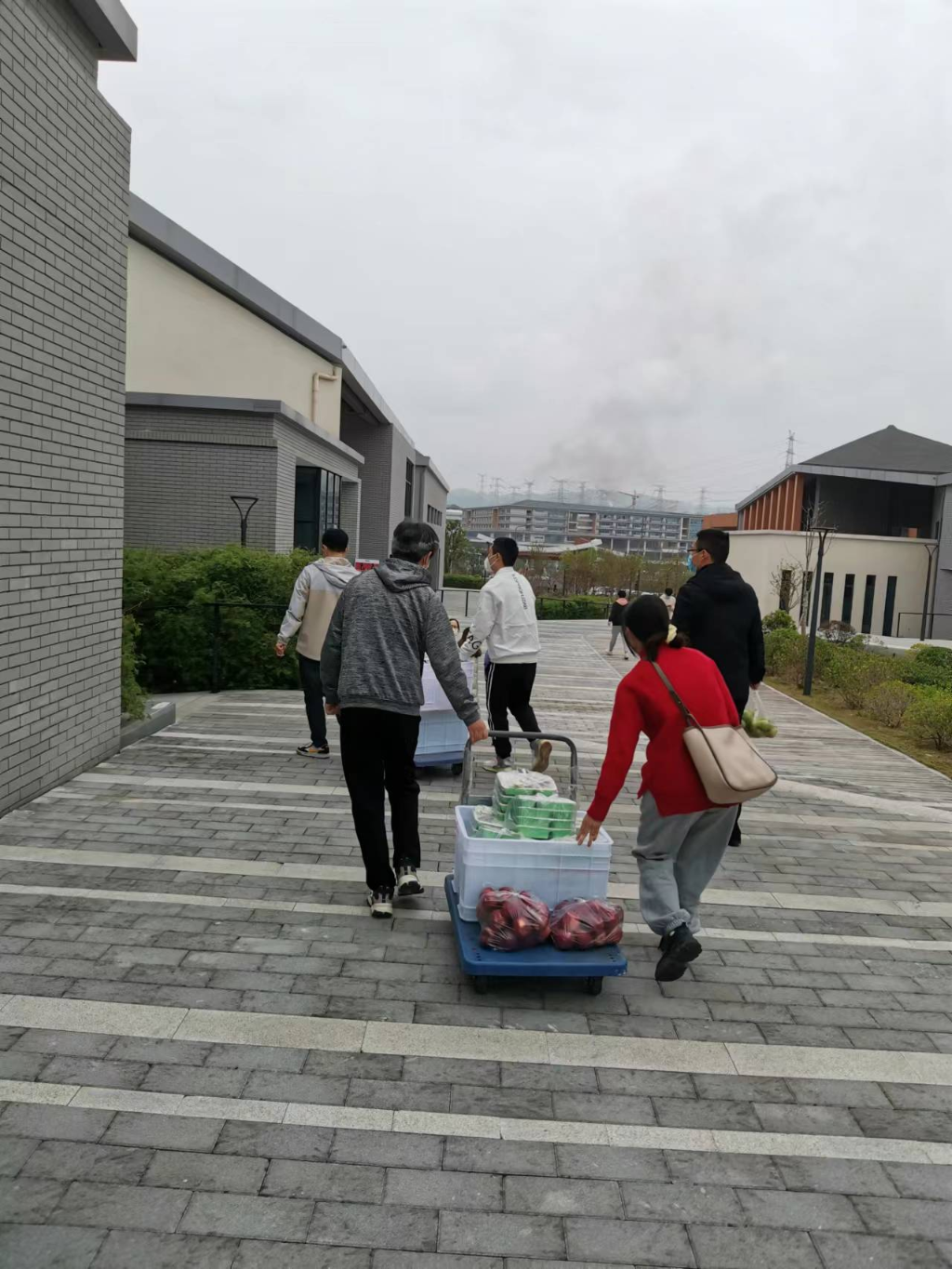 1重庆研究院2党员突击队在园区为职工运送物资