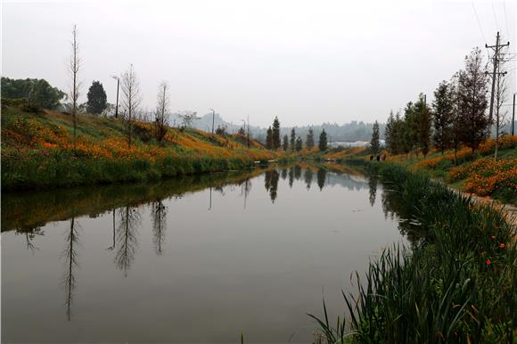 “高升河”呈现水清河畅水岸绿景美生态美丽画卷。特约通讯员 谭显全 摄