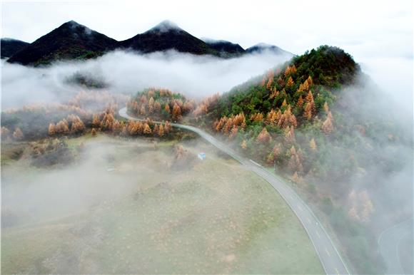 云雾缭绕的巫溪红池美景。通讯员 李实鲜 摄