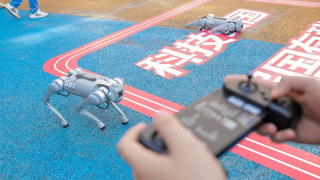 学生们现场操纵机械狗。主办方供图