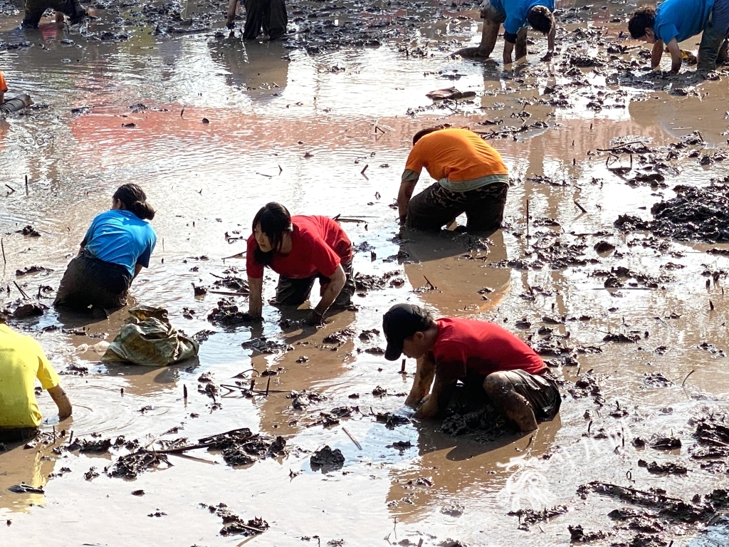 学生正在池塘里挖藕。华龙网-新重庆客户端记者 刘钊 摄