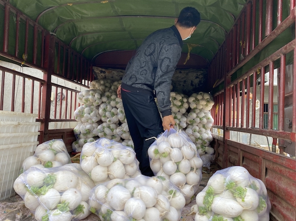 村民将清洗干净的萝卜打包装车 。涪陵区委宣传部供图 华龙网发