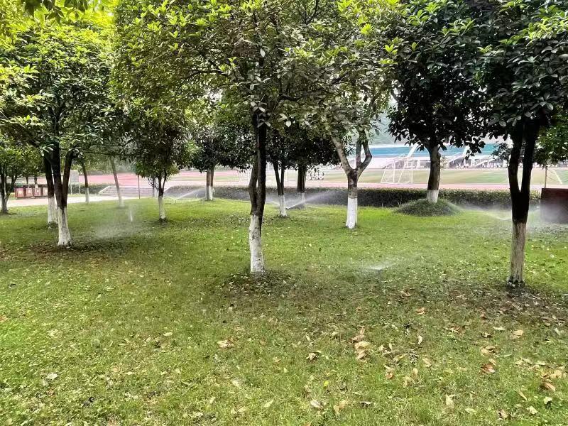 重庆理工大学绿化喷灌设施。重庆市水利局供图