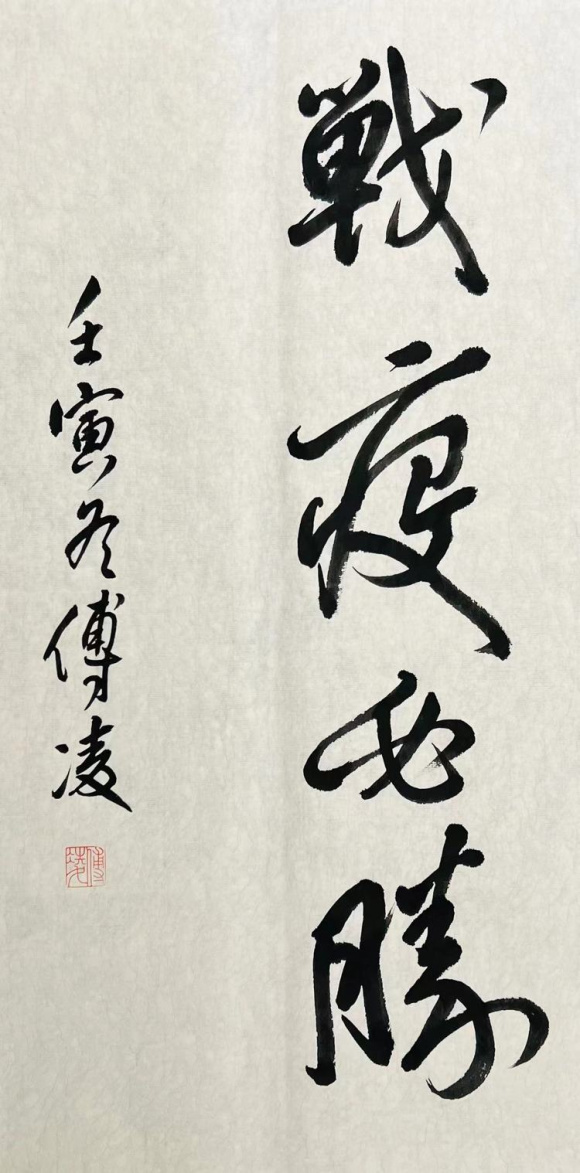 11傅凌 战疫必胜 11傅凌 战疫必胜
