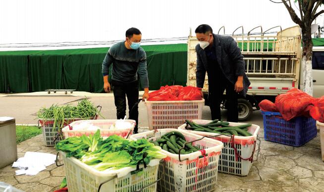 志愿服务队队员将蔬菜、水果进行分类打包装车。