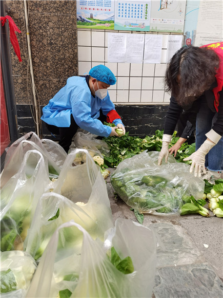 志愿者为居民分拣蔬菜包。龙山街道办事处供图 华龙网发