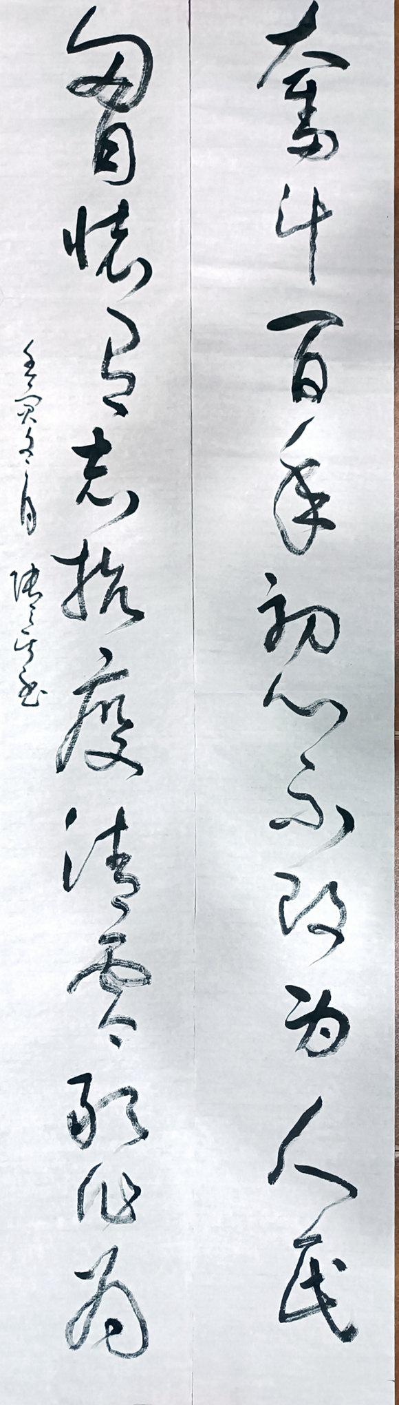 张天其《抗疫清零》