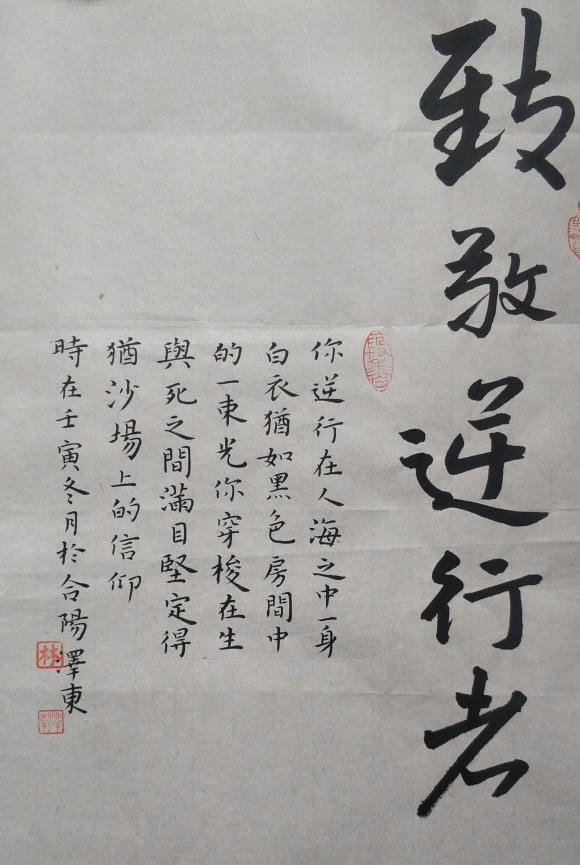 林泽东 致敬逆行者 林泽东 致敬逆行者