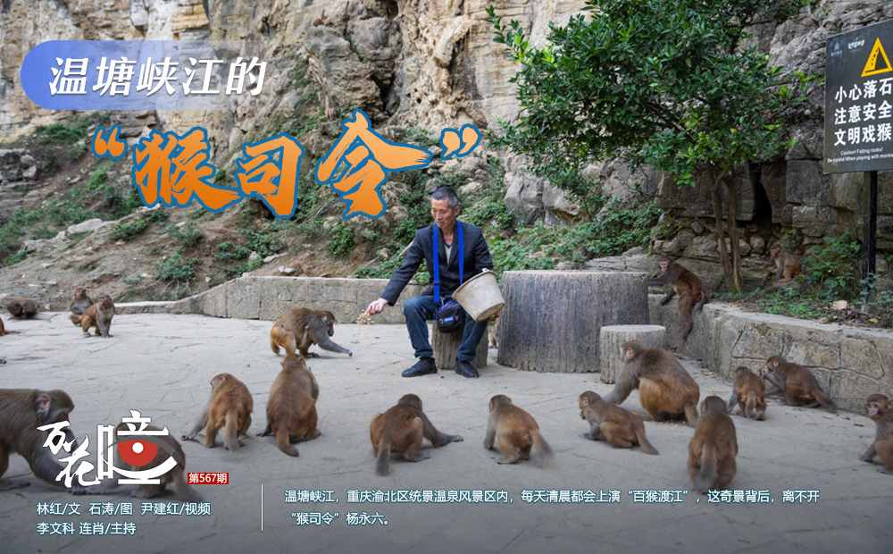 微信圖片_20221103210726 微信圖片_20221103210726
