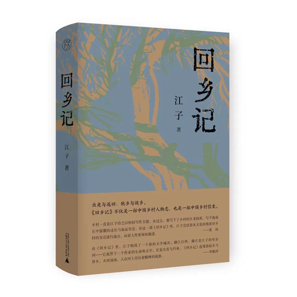 《回乡记》（第八届鲁迅文学奖获奖作品）