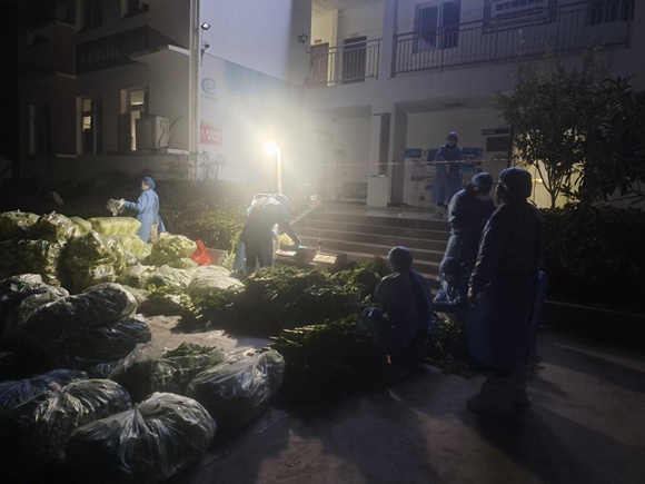 木耳镇新乡村干部和志愿者正分拣蔬菜。木耳镇人民政府供图 华龙网发