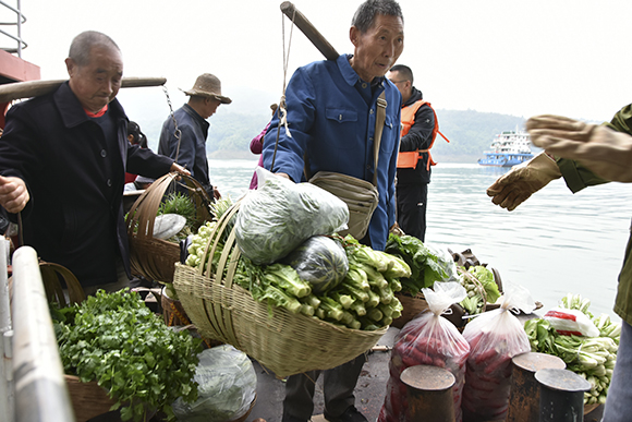 来自洋渡镇的菜农将新鲜果蔬从客轮挑到码头边。