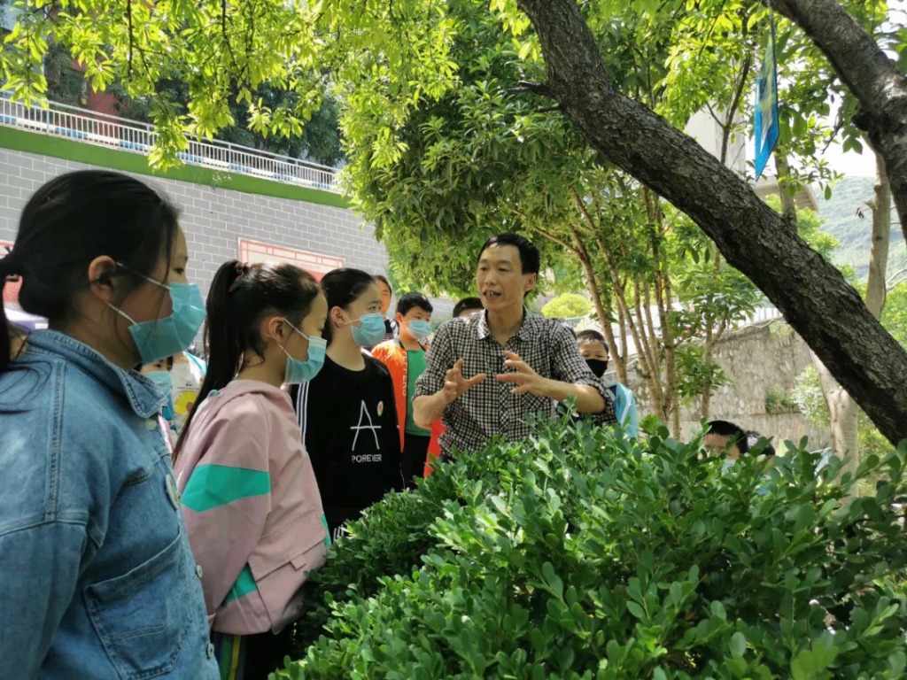 学生们在户外上课。重庆市教委供图