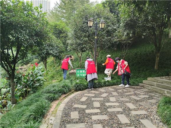 志愿者沿着盘溪河岸清理白色垃圾。通讯员 徐诗颖 摄