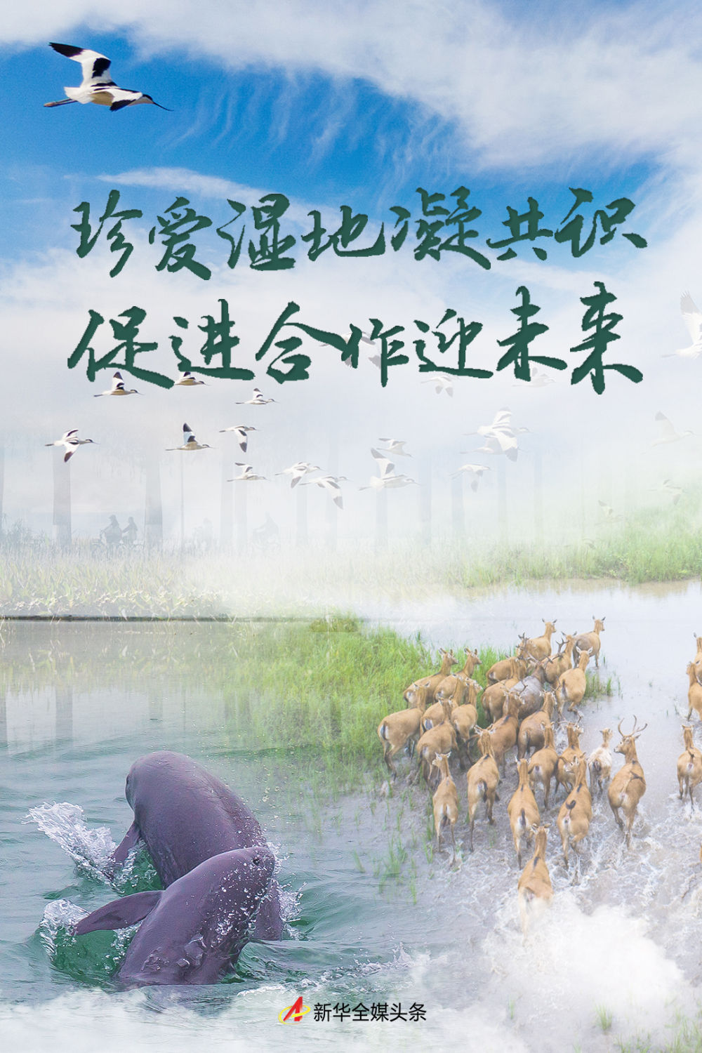 珍爱湿地凝共识 促进合作迎未来——写在《湿地公约》第十四届缔约方大会举办之际1