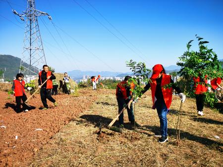 回龙湾社区志愿者正在植树。记者 吴荣凯 摄