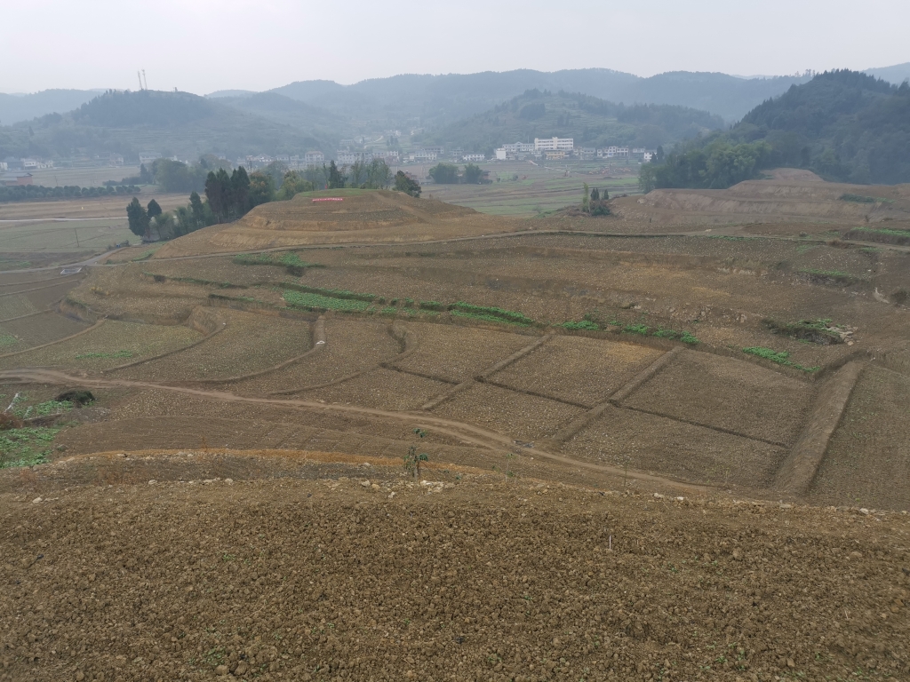 涪陵区罗云镇干龙坝村高标准农田改造提升示范项目。主办方供图