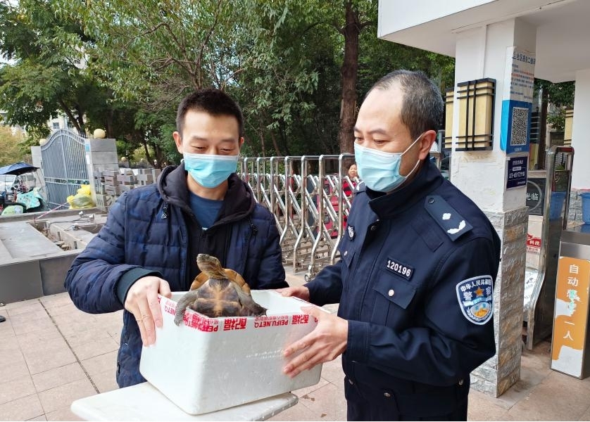 0魏先生将捡到的乌龟交给民警。重庆高新区警方供图