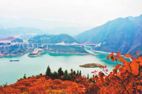 高峡平湖与红叶相映成趣。记者 王忠虎 摄