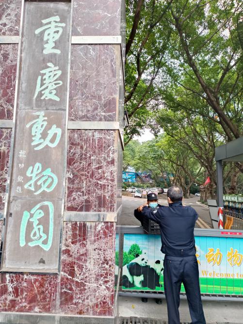 1民警将龟移交重庆动物园野生动物救助站。重庆高新区警方供图