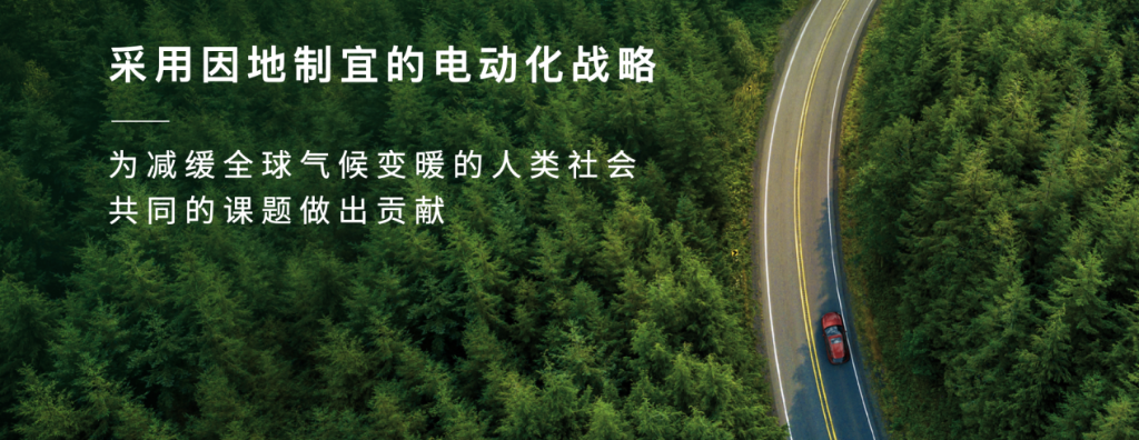 图片11 图片11