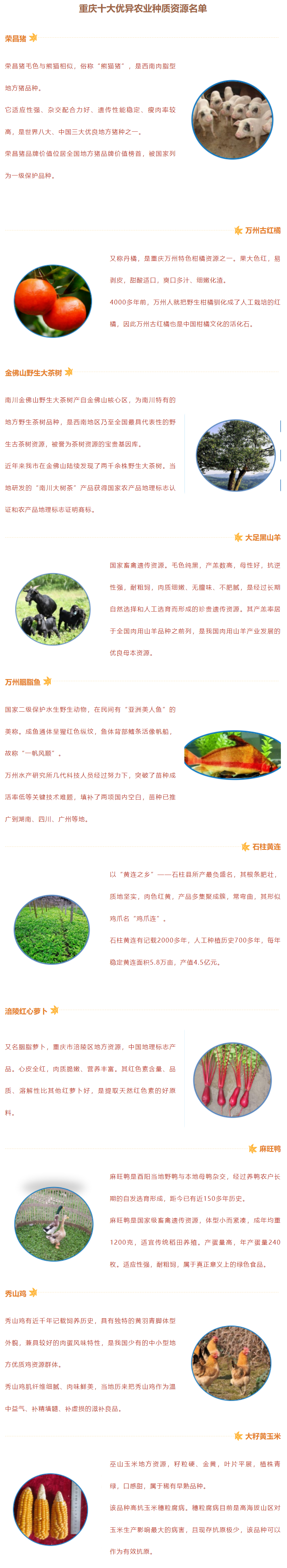 重庆发布十大优异农业种质资源名单