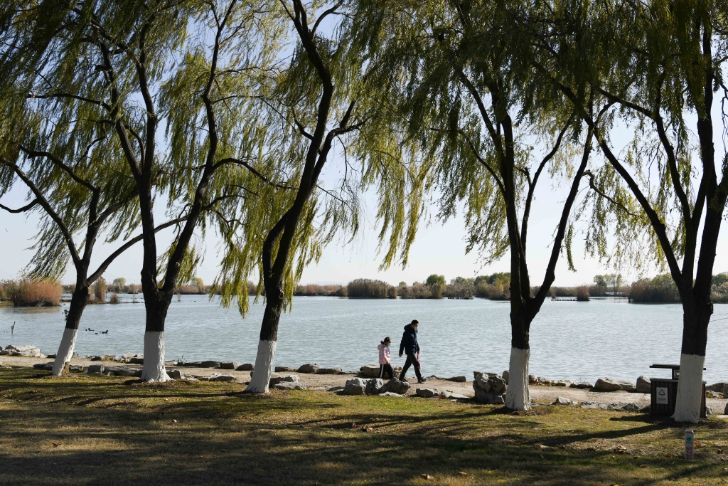 市民在安徽合肥巢湖湖滨国家湿地公园休闲。