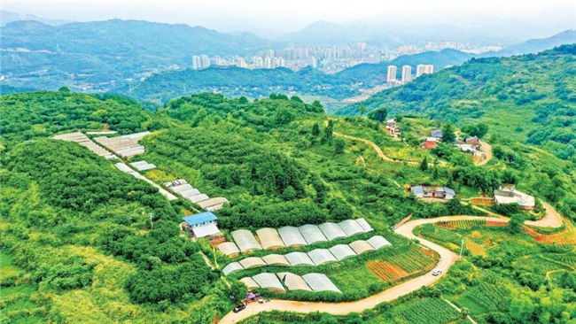 万盛经开区把资源型城市可持续发展与乡村振兴同步推进。万盛日报记者 王泸州 摄