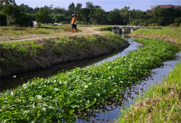 12月25日在海南省文昌市东阁镇拍摄的建在文教河支流内的“生态浮岛”。新华社记者 蒲晓旭 摄