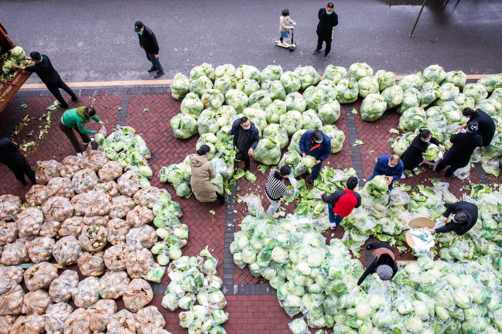 2022年12月2日，重庆市两江新区，一家物业公司准备了20吨蔬菜，免费分发给小区居民。