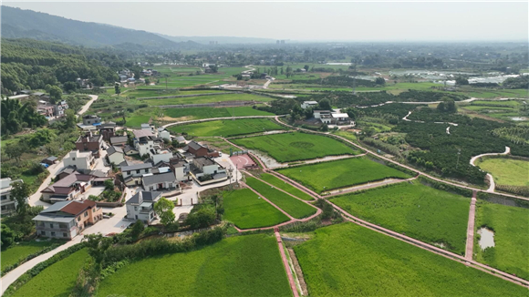 成渝高校特色农业带“双昌”合作园区。受访者供图