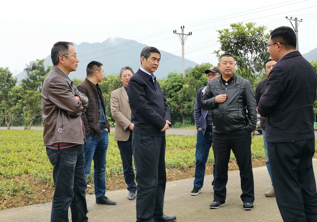 致公党市委会主委、市民族宗教委主任丁时勇（中）率队在酉阳县调研。受访者供图